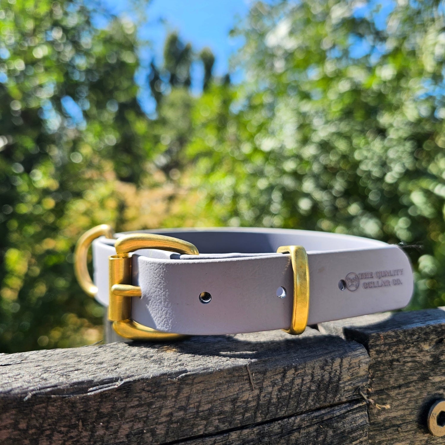 Biothane Flat Collar