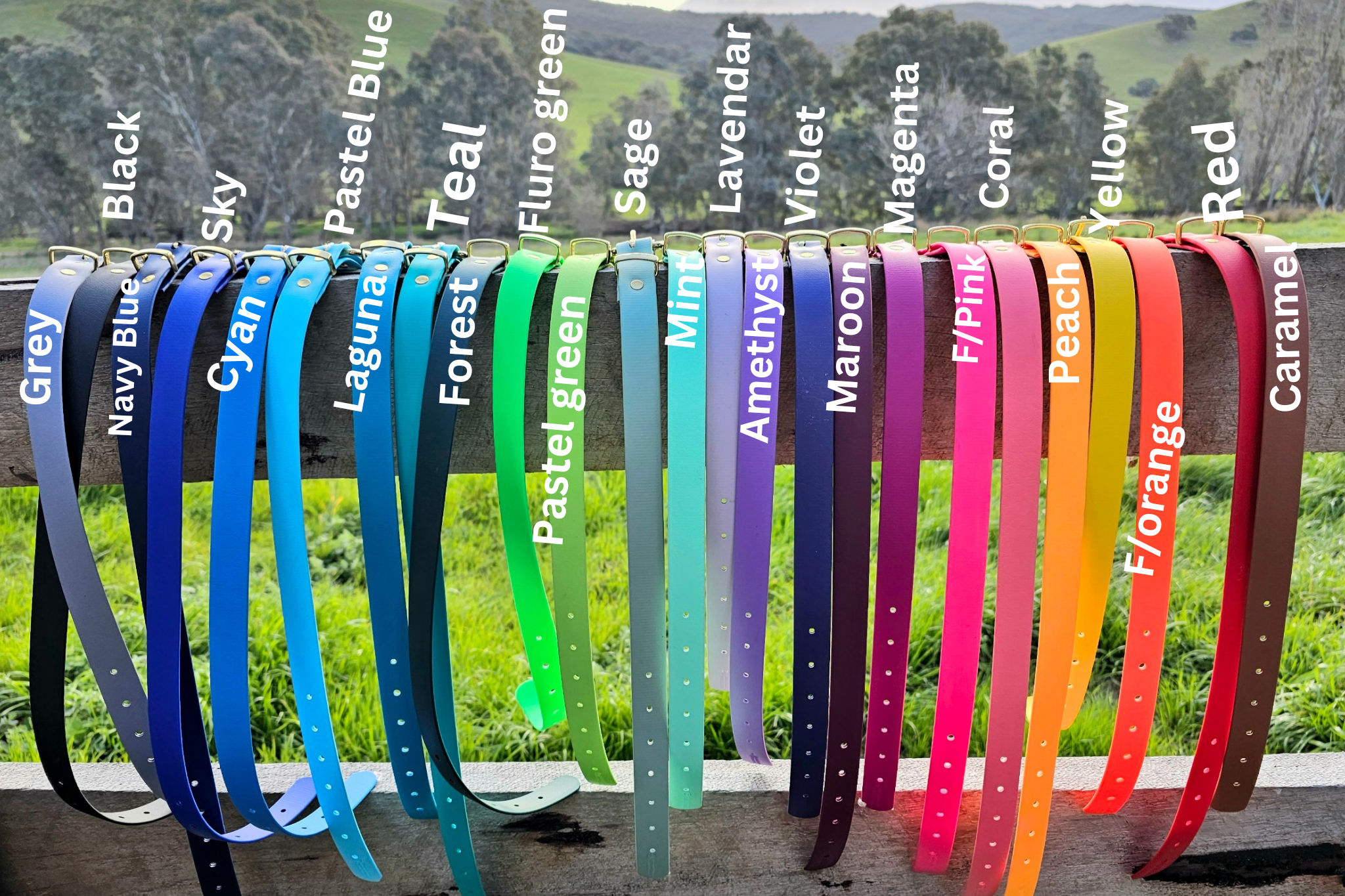 Martingale Collar- 1 inch width