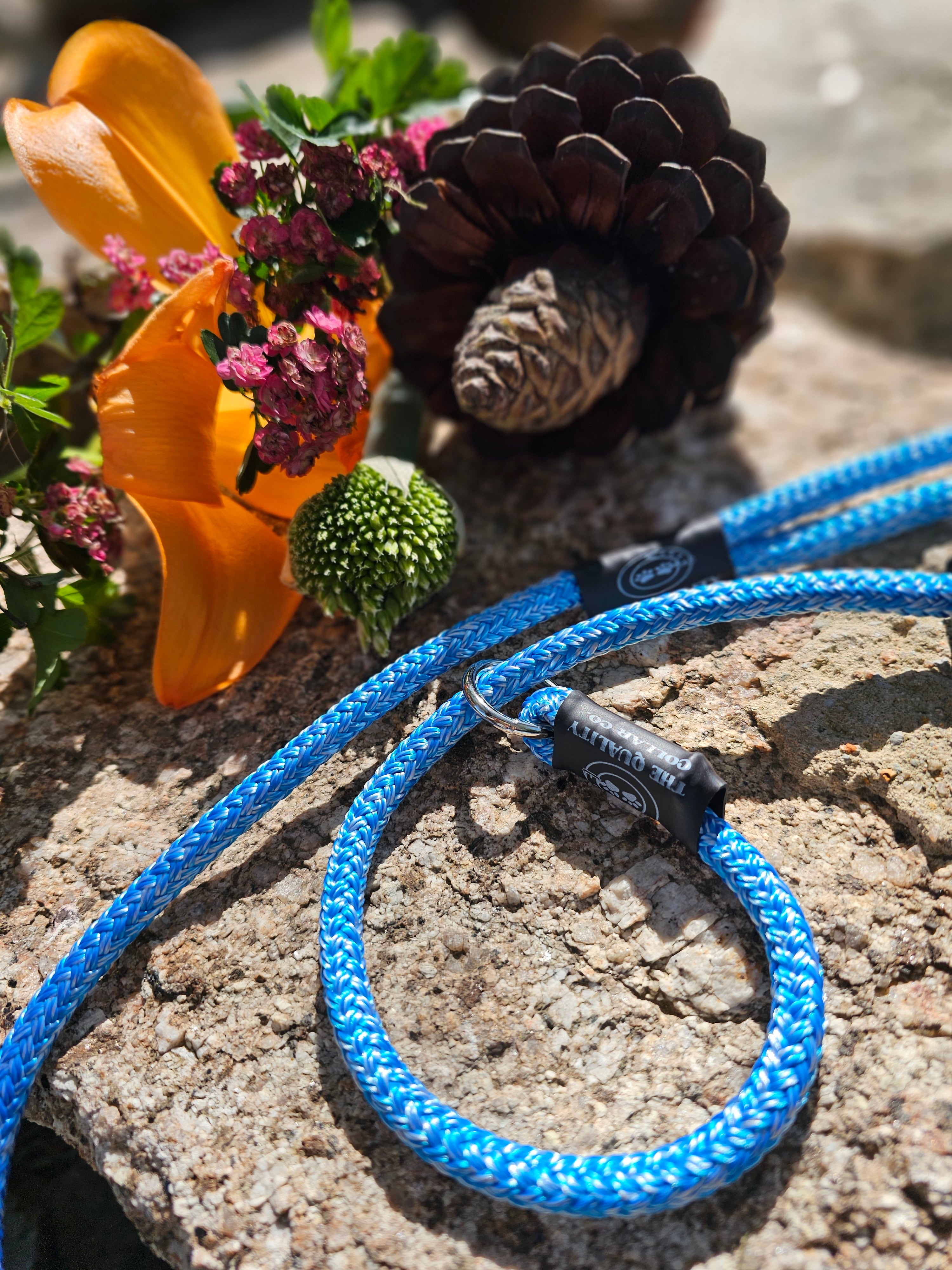 '24- Out Of This World [Stainless Steel]