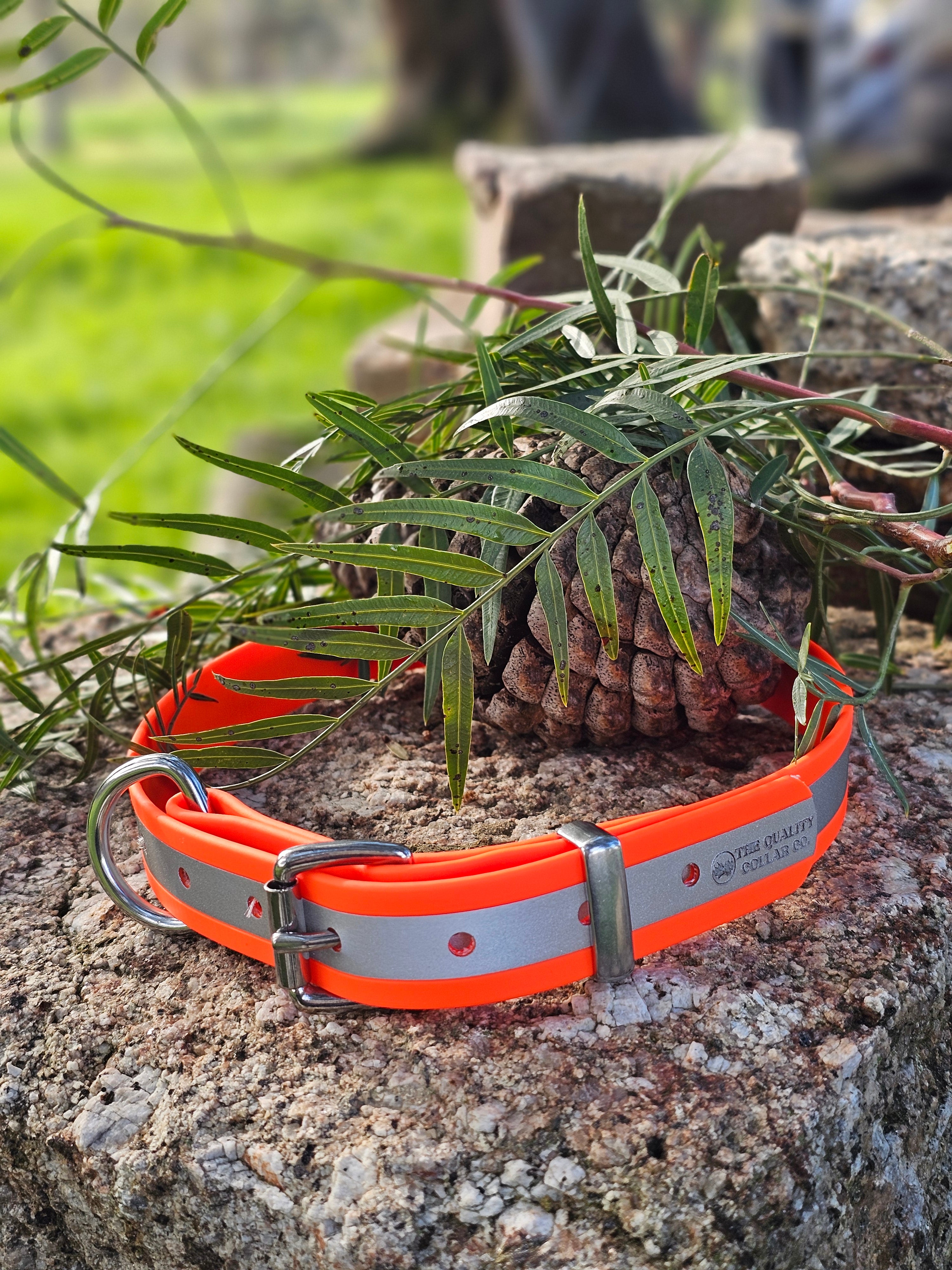 Hi-Viz Reflective Working dog style flat collar (1”/25mm Width)