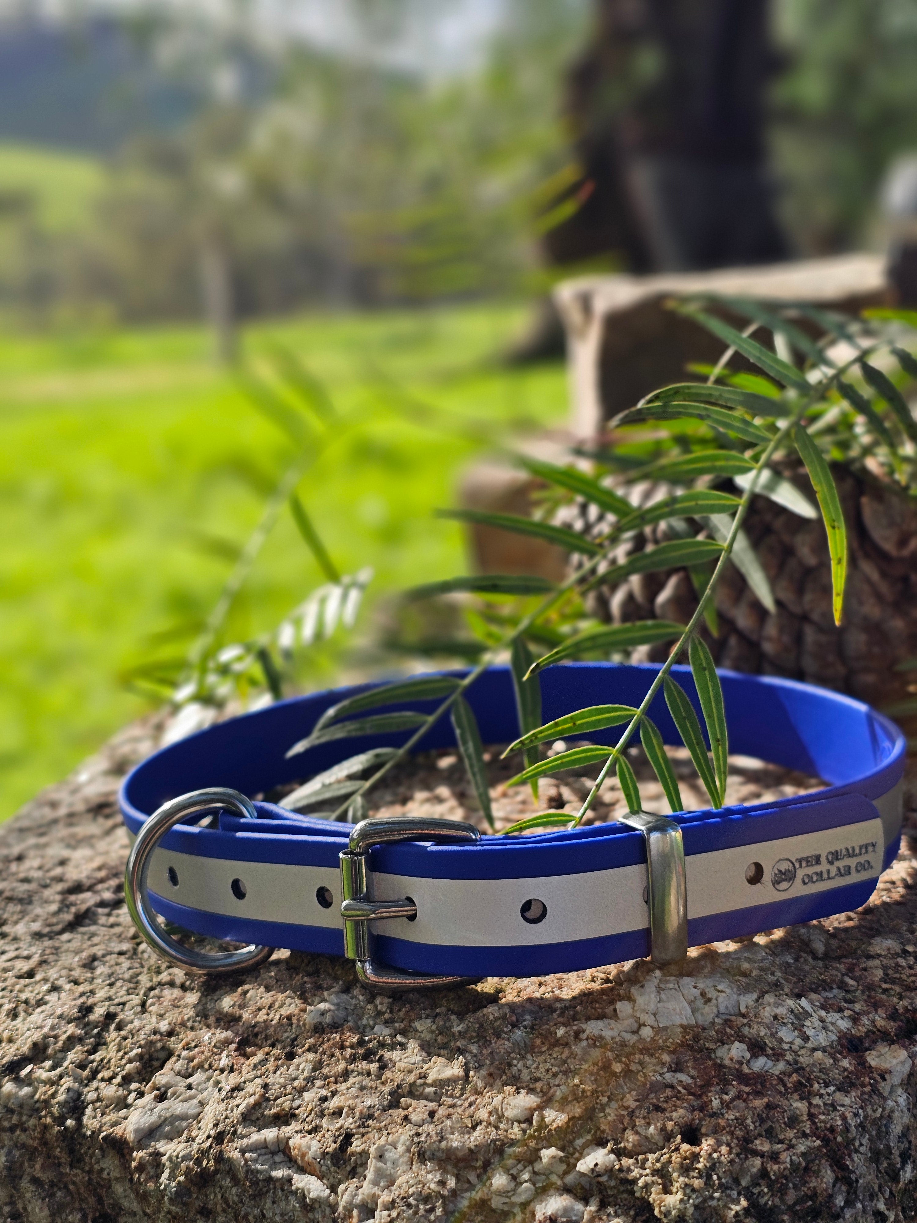 Hi-Viz Reflective Working dog style flat collar (1”/25mm Width)