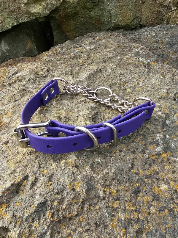 Martingale Collar with Stainless steel hardware