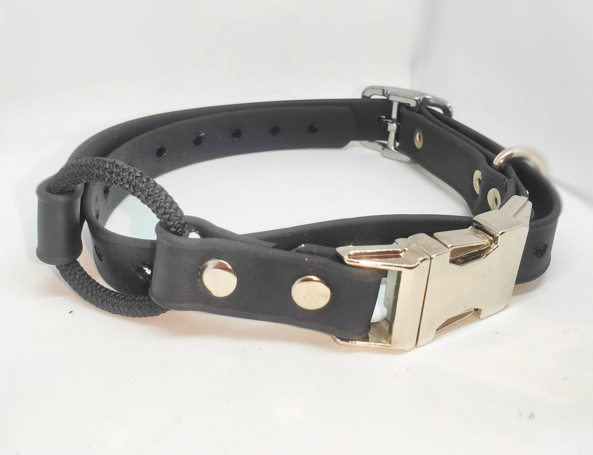 Ecollar quick release bungee strap