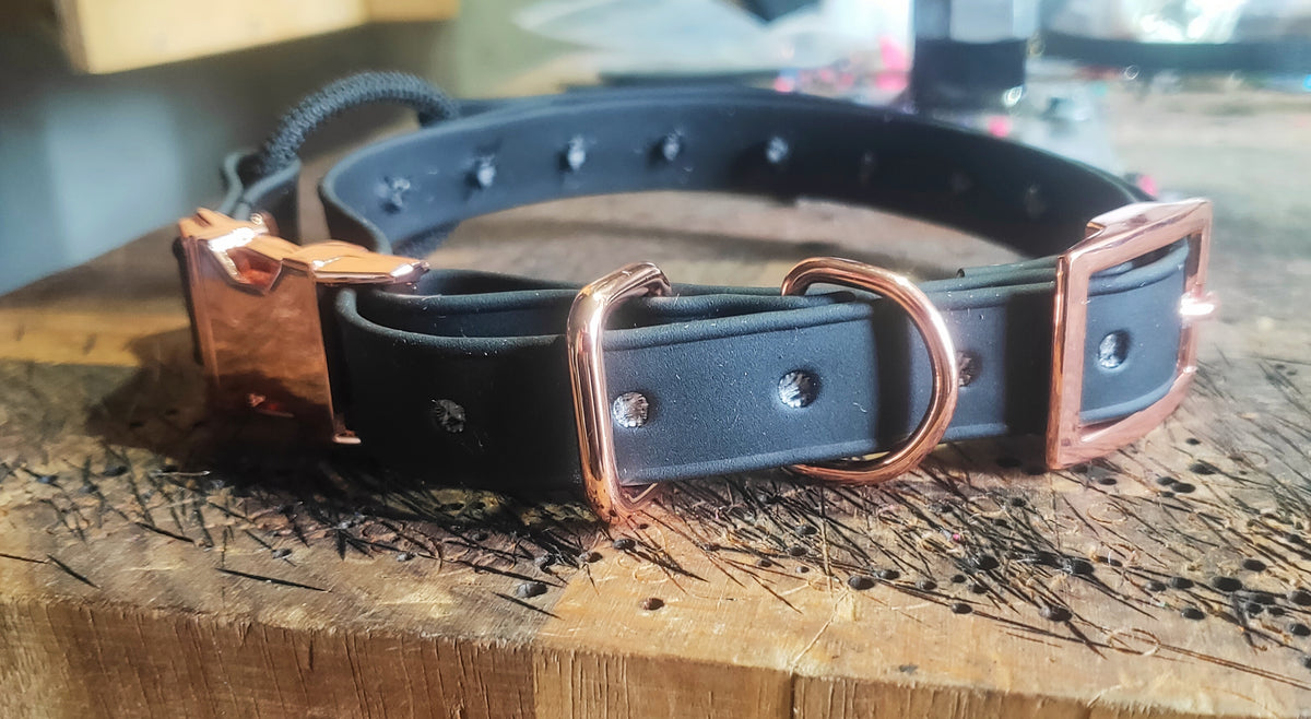 Ecollar quick release bungee strap