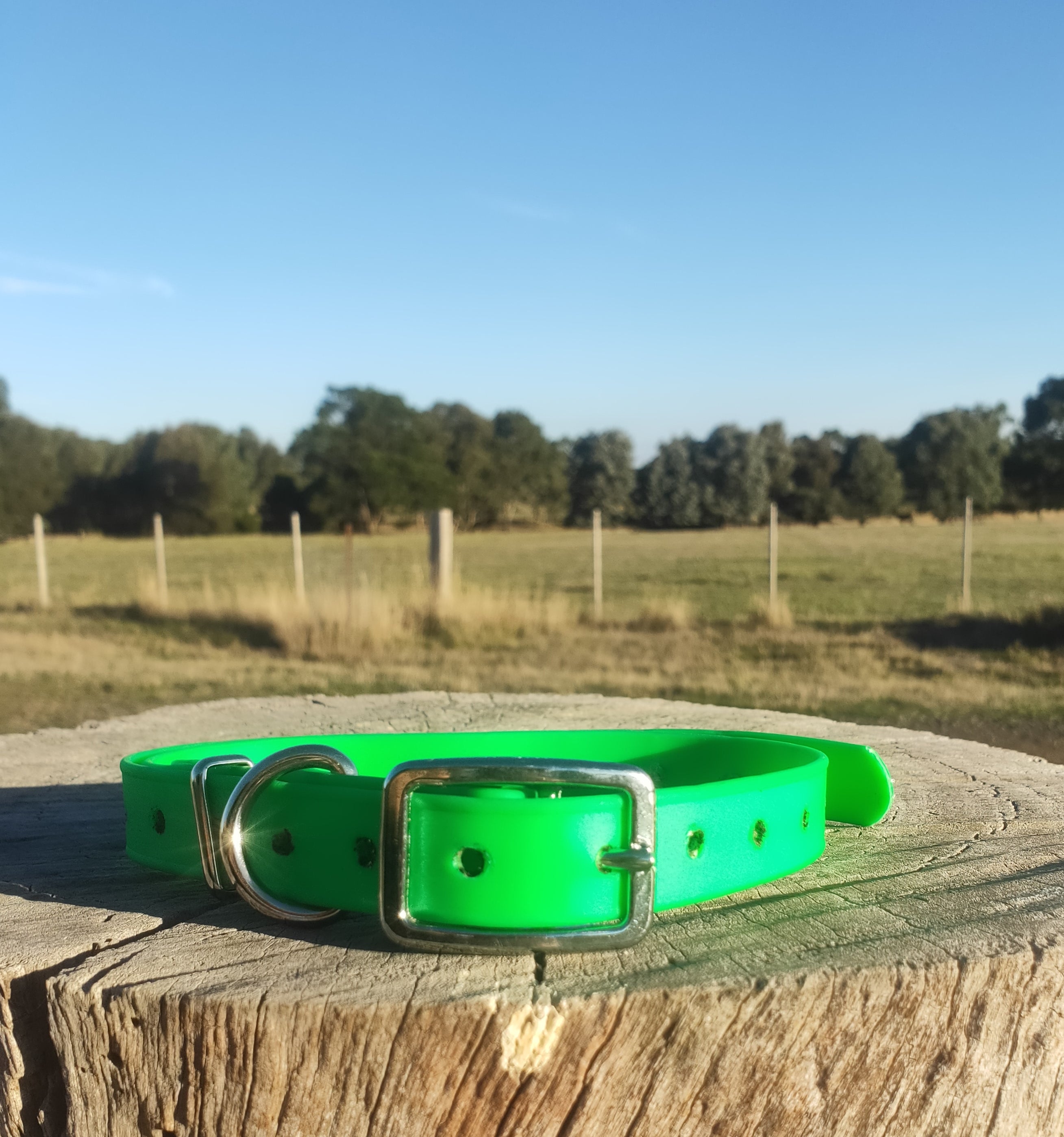 Standard Ecollar replacement strap